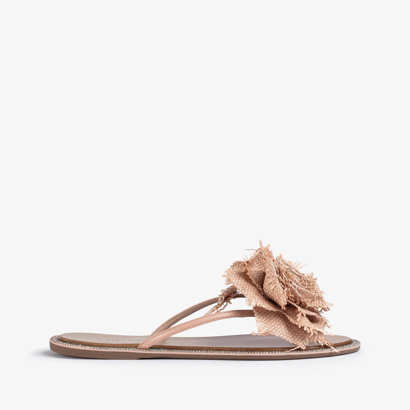 ROSE SANDAL - Flat Shoes | LE SILLA 